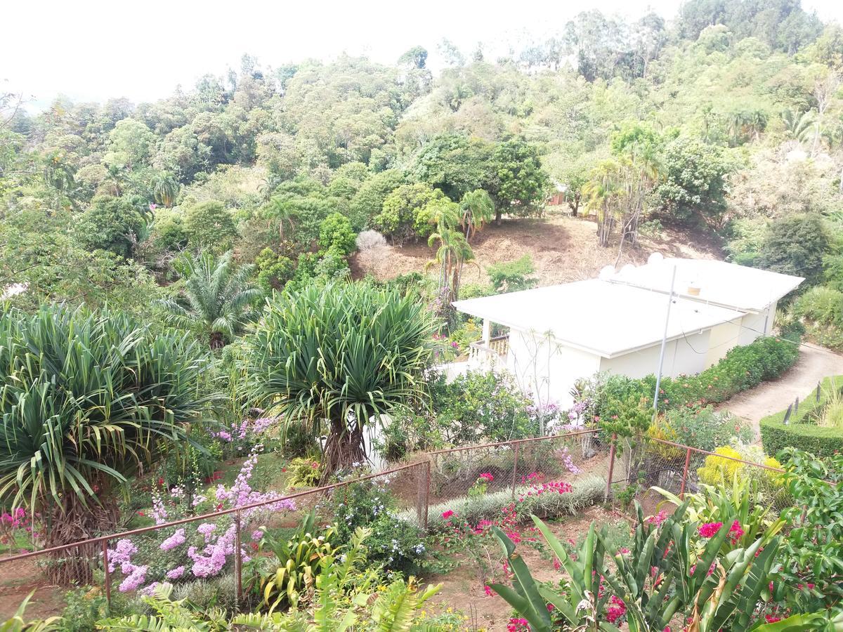 La Princesa Hotel San Isidro De El General ภายนอก รูปภาพ