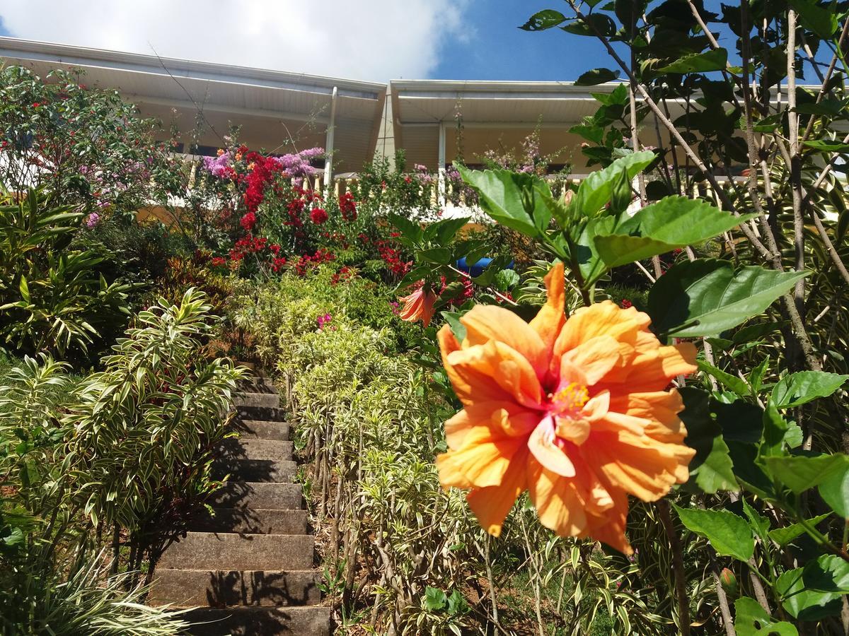 La Princesa Hotel San Isidro De El General ภายนอก รูปภาพ