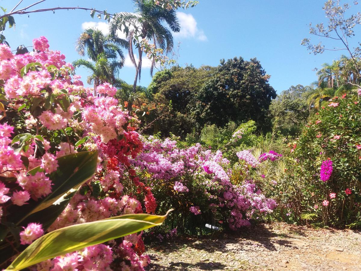 La Princesa Hotel San Isidro De El General ภายนอก รูปภาพ