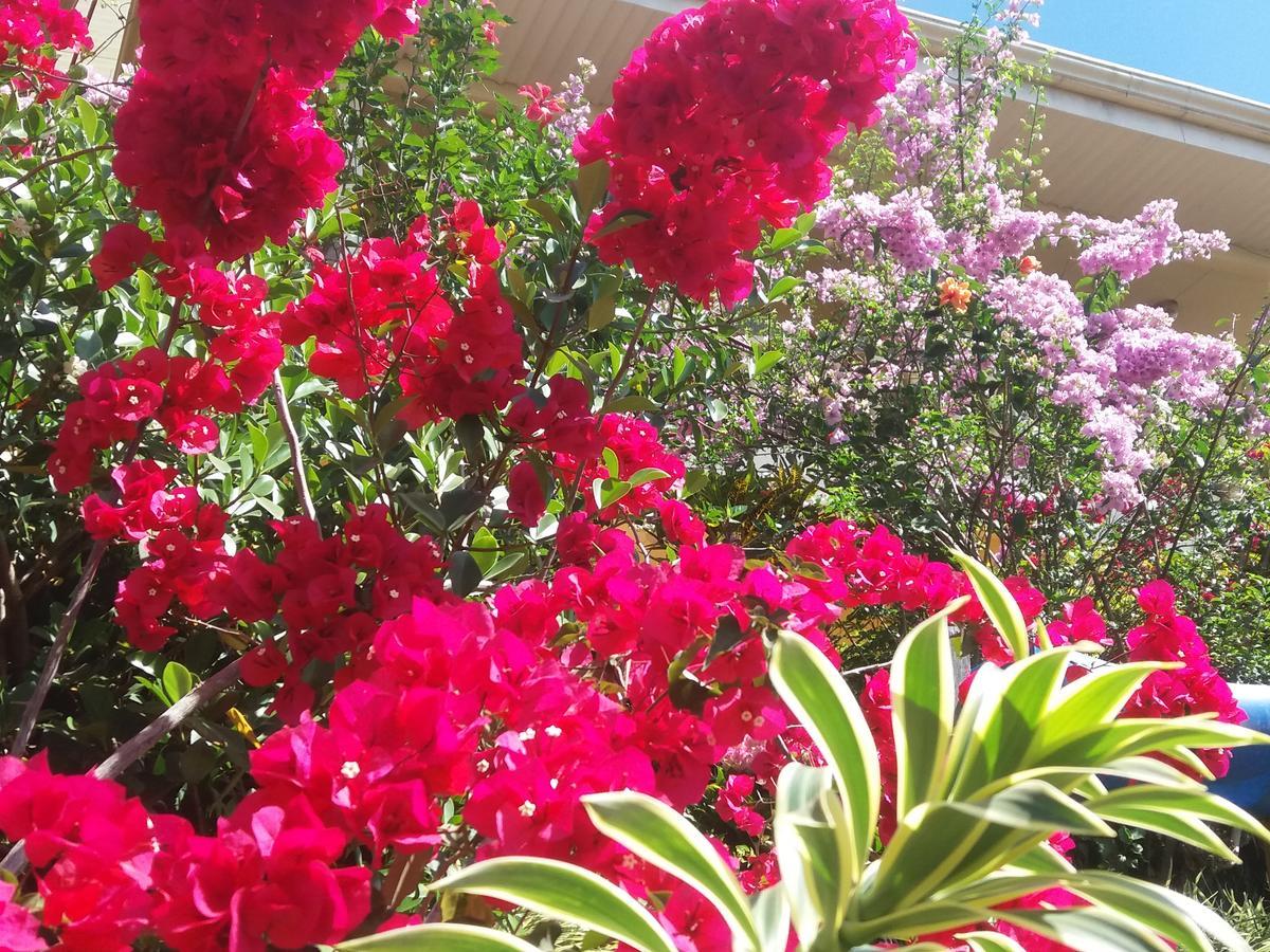 La Princesa Hotel San Isidro De El General ภายนอก รูปภาพ