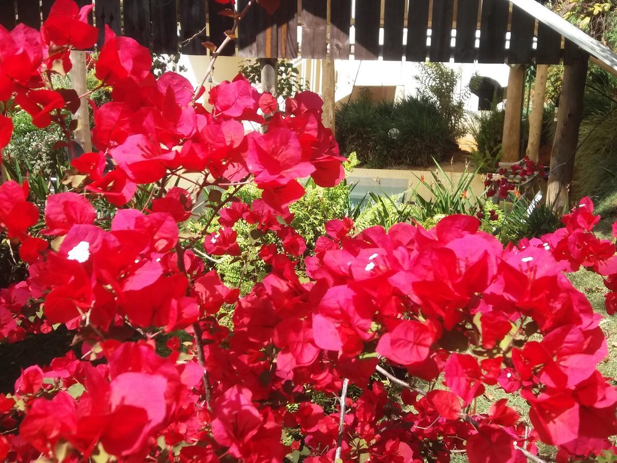 La Princesa Hotel San Isidro De El General ภายนอก รูปภาพ