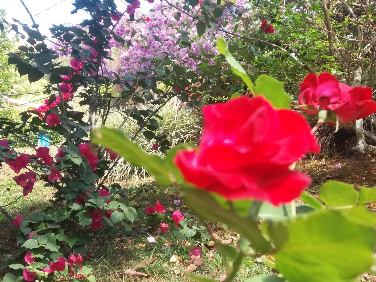 La Princesa Hotel San Isidro De El General ภายนอก รูปภาพ
