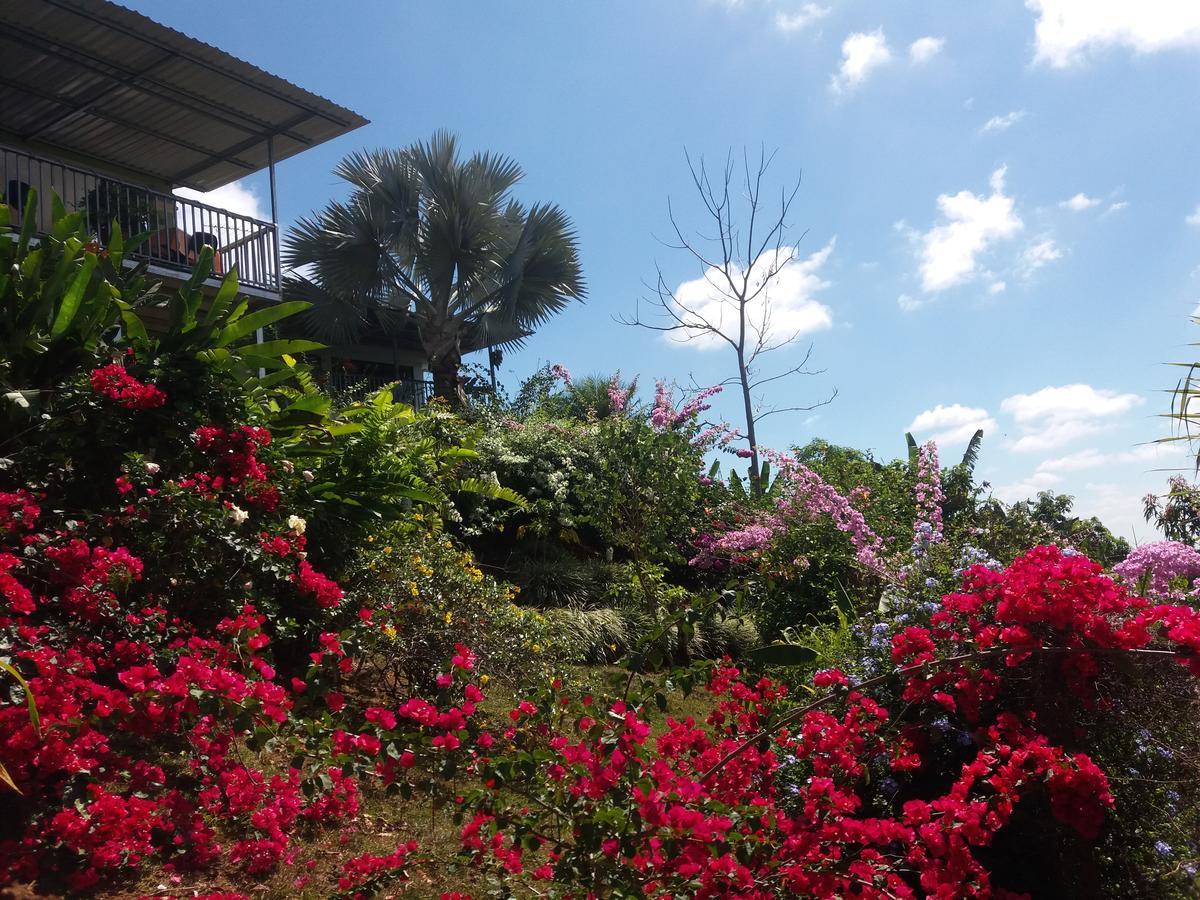 La Princesa Hotel San Isidro De El General ภายนอก รูปภาพ