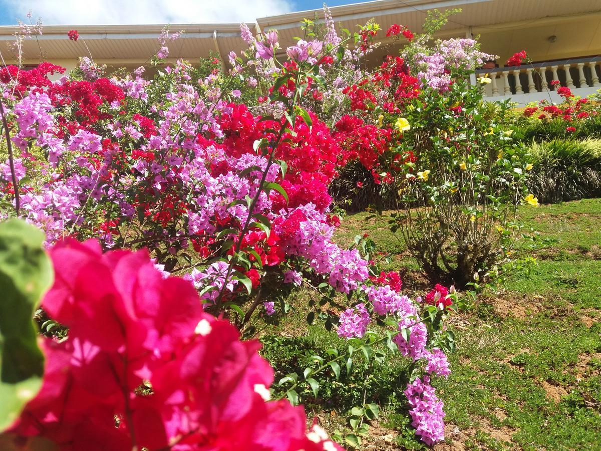 La Princesa Hotel San Isidro De El General ภายนอก รูปภาพ