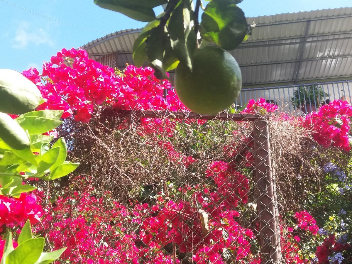 La Princesa Hotel San Isidro De El General ภายนอก รูปภาพ